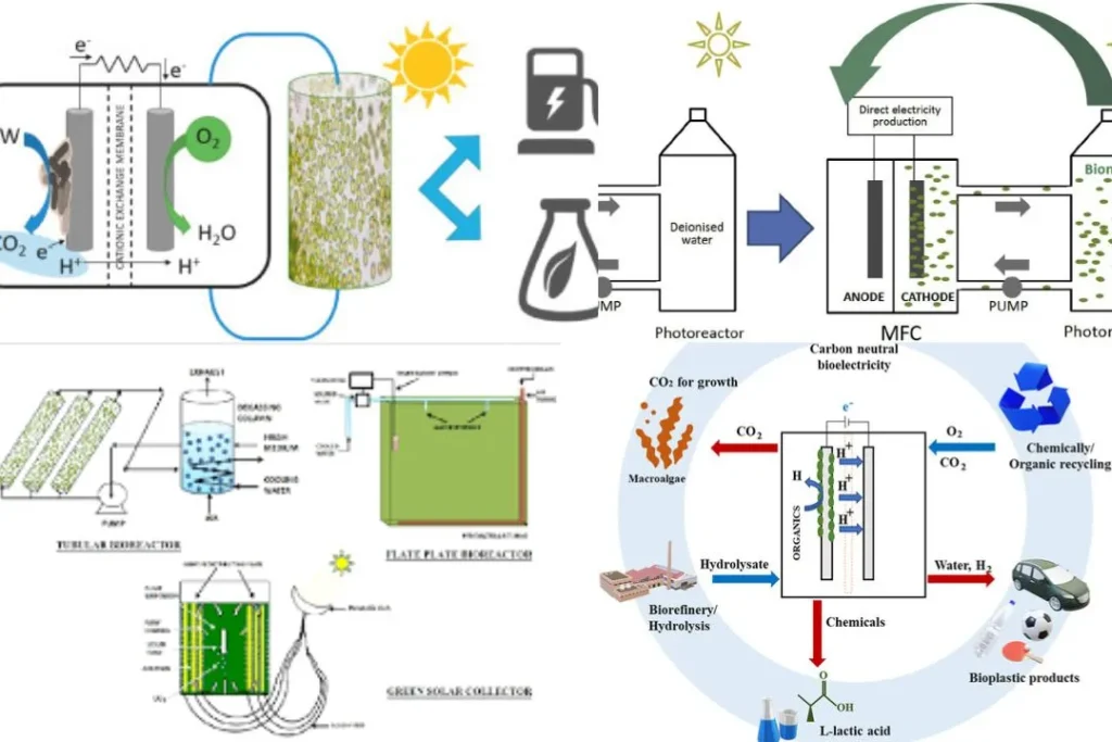 Renewable Energy Breakthroughs